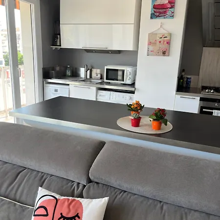 Tres Beau 3 Pieces Spacieux Lumineux Et Climatise * Nice
