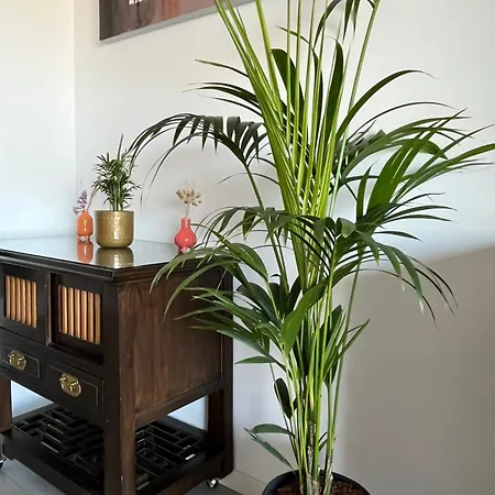Apartmán Tres Beau 3 Pieces Spacieux Lumineux Et Climatise