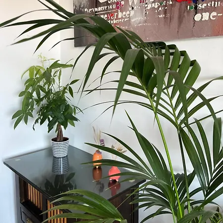 Très Beau 3 Pièces Spacieux Lumineux Et Climatisé Apartamento *
