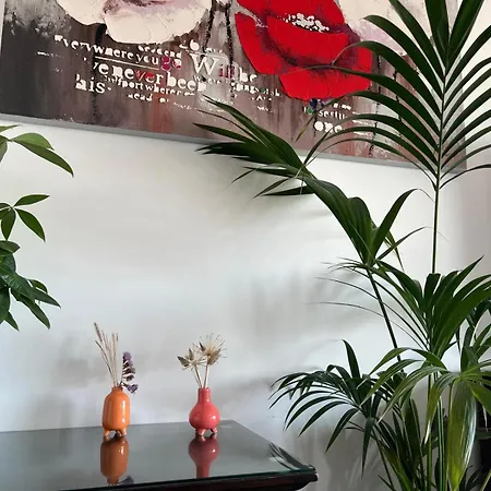 Apartamento Très Beau 3 Pièces Spacieux Lumineux Et Climatisé *